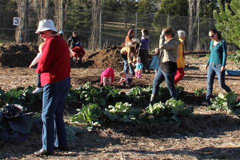 people working in garden